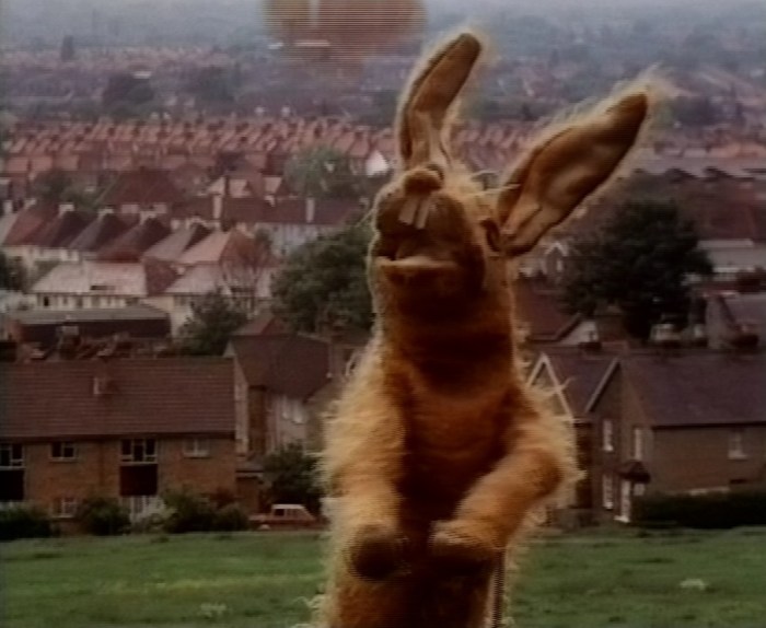 Pipkins Hartley 1